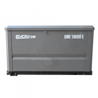 Генератор газовый EVOline GNG 19000 E