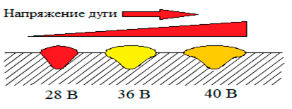 7.png 7.png
